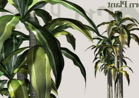 House Indoor Plant 3D-malli