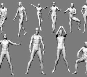 Modelo 3D do corpo humano do personagem Modelo 3D
