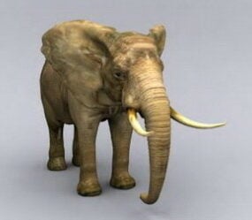 modelo 3d elefante