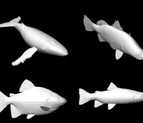 63D model 3 druhů ryb