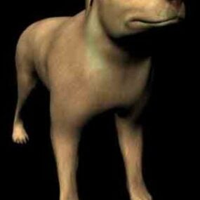 Model 3D Pedigree Anjing