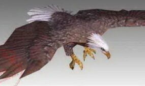 Animal Eagle Bird Hunting Goshawk Attacks 3d model