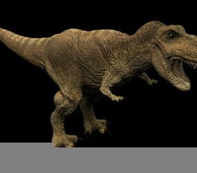 3D model zvířecího tyranosaura