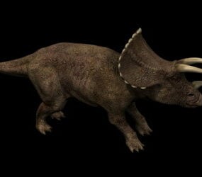 דגם טריצרטופס דינוזאור תלת מימד