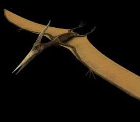 Modello 3d del dinosauro animale Pteranodon