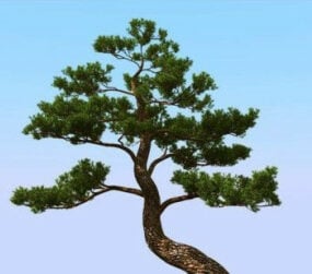 نموذج ثلاثي الأبعاد لشجرة الصنوبر اليابانية