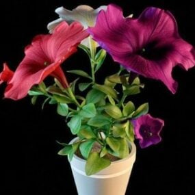 Les plantes en pot fleurs violettes colorées modèle 3D