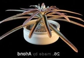 3D-модель кімнатних рослин латаття
