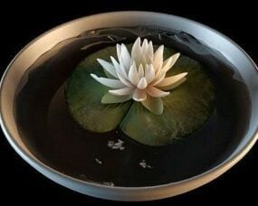 Bonsai Water Lily 3d μοντέλο