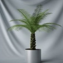 3д модель Бонсай Кокосовые Пальмы