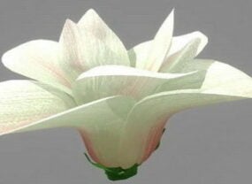 Magnolienpflanze 3D-Modell