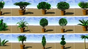 庭木植物3Dモデル