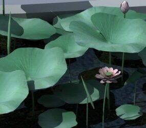 蓮の葉、花3Dモデル