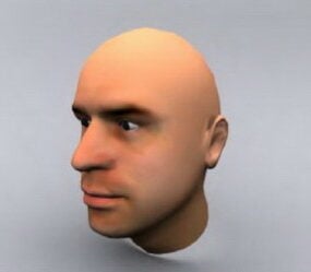 Чоловіча голова з текстурою 3d модель