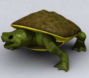 Kaplumbağa 3d modeli