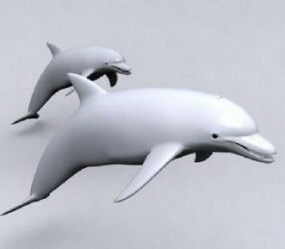 3D model delfína