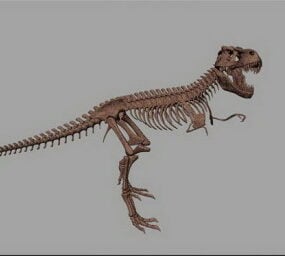 3d модель скелета динозавра