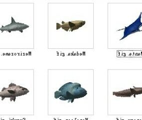 Conjunto de 6 peixes Modelo 3d