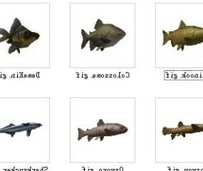 28 ست ماهی مدل سه بعدی