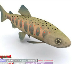 11 Fish Set 3d model
