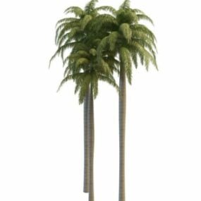 Modello 3d delle palme reali della Florida