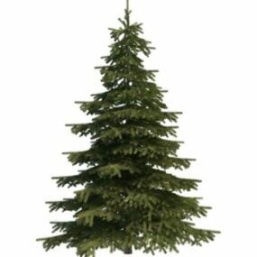 Mountain Spruce Tree 3d-modell
