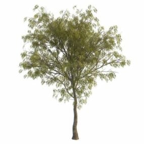 罗文树3d模型