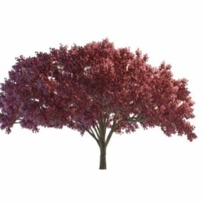 진한 빨간색 단풍나무 3d 모델