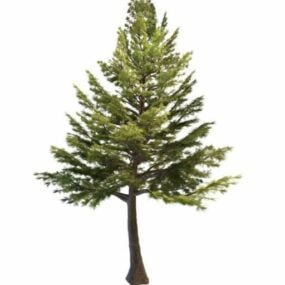 Model 3D drzewa cedrowego w Libanie