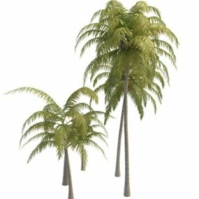 3D model tropických kokosových stromů