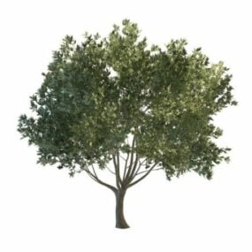 녹색 번성 나무 3d 모델