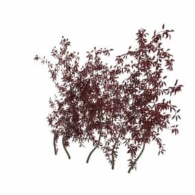 Cerisier des sables à feuilles violettes modèle 3D