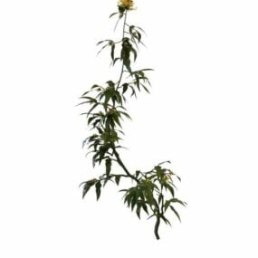 Gule blomstrende buske 3d-model