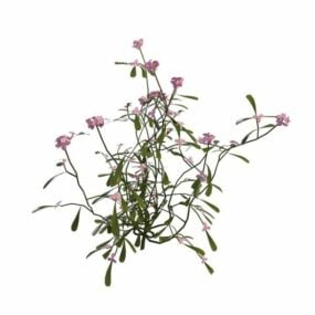 Pink blomstrende buske 3d-model