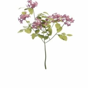 Fialově kvetoucí rostlina 3D model
