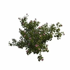 Pink Flower Bush 3d model
