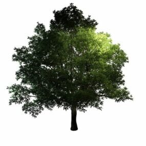 مدل سه بعدی درخت ژنریک بزرگ