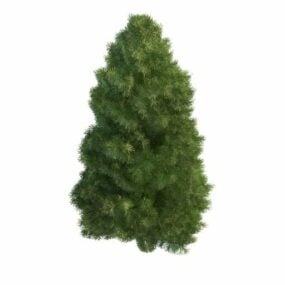 Leyland Cypress Tree 3d-malli