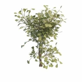 Buske med gröna blad 3d-modell