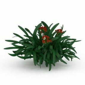 Cymbidium Orchid Plants 3d model