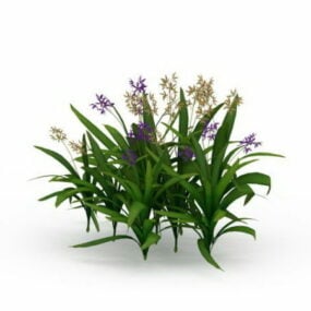 Orkidéväxter 3d-modell