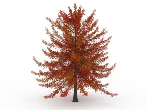 Red Fall Tree