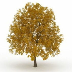مدل سه بعدی درخت سیب پاییزی