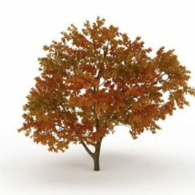 نموذج شجرة الألوان الخريفية ثلاثي الأبعاد