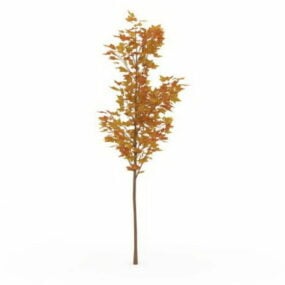 Yellow Maple Tree 3d model