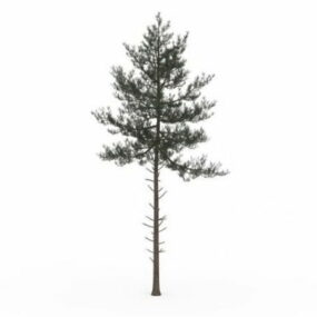 3D model jehličnatého stromu