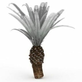 Canary Island Date Palm Tree 3d-modell