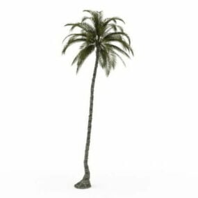 3D-Modell einer hohen Palme