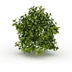 Evergreen Vines 3d model