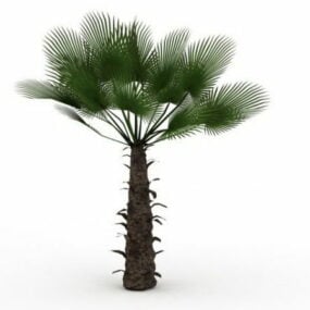 추산 야자나무 3d 모델
